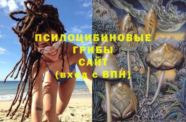 винт Аркадак