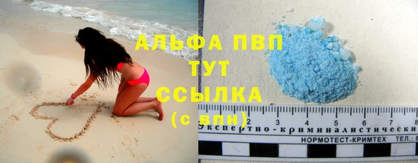винт Аркадак