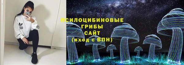 СК Балахна